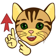emoticon with a cool cat, which shows two index fingers up and to the arrow, vector clip art on white isolated background