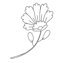 Social network highlight stories icon