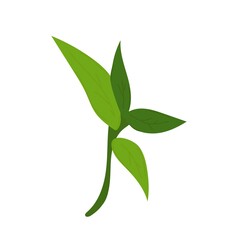 bamboo leaves. Hand drawn vector illustration isolated on white background.