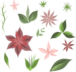 beautiful floral vector set with botanical elements, flowers and leaves