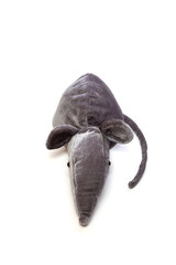 Soft toy of gray rat on white background. View from above