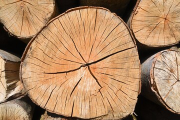 stack of logs