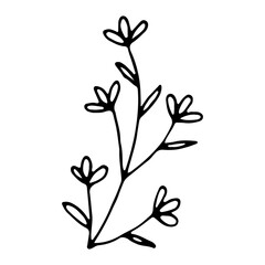 Hand drawn wedding herb