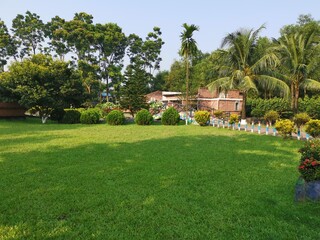 Fototapeta na wymiar Green nature. It is in Gazipur District, Bangladesh. In the afternoon light it looks very beautiful.