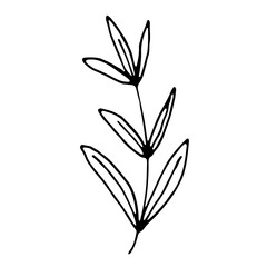 vector sketch illustration