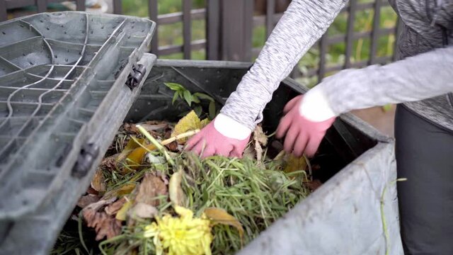 Close up view of woman's hands throwing organic garden waste into compost container. Zero waste, sustainability and environmental protection concept