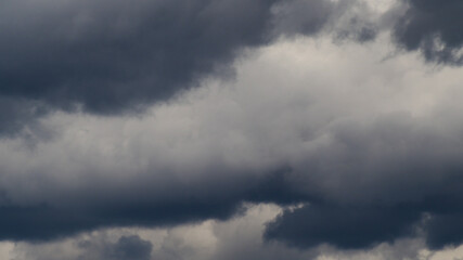 Bases sombres de cumulus en phase de développement