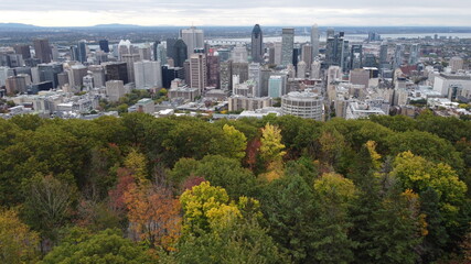 Obraz premium montreal-downtown