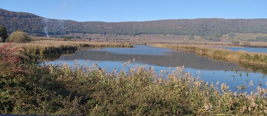View of Lake Vico in Autumn 2020 ,the swamp in Lake Vico Natural Reserve,Italy.Photography from bird watching tower.Surrounded by a stunning landscape with green woods in over look .