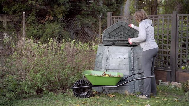 Middle aged caucasian woman throwing organic garden waste from a wheelbarrow into compost container in a garden. Zero waste, sustainability and environmental protection concept