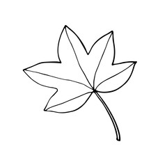 abstract contour leaf isolated on white