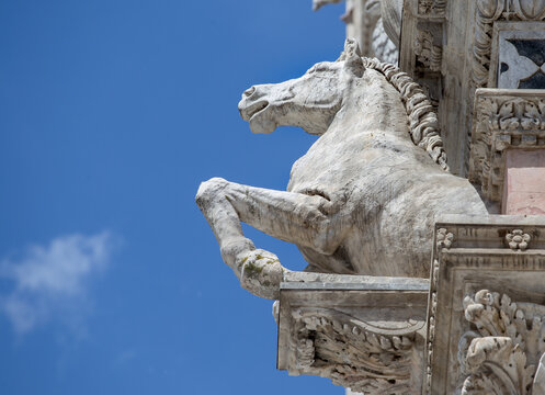 Italy, Siena Cathedral, the statue of the horse