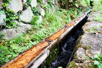 The water way on the bamboo trunk.