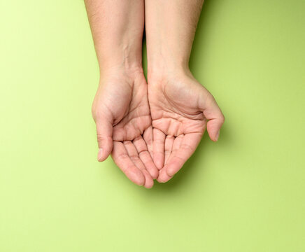 two female hands folded palm to palm on a green background - Powered by Adobe
