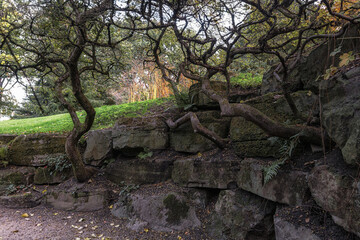 Park in beautiful autumn colors