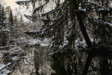 Ural winter landscape. Sunny frosty day on the river