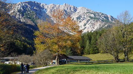 autumn in the austrian mountains