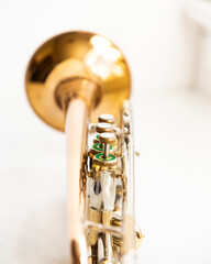Vintage gold and silver trumpet © ErinLewisPhotography