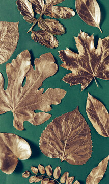 Different bronze leaves on green background