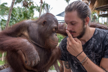 A men bonding with an orangutan © Cavan