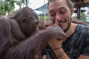 a men bonding with an orangutan © Cavan