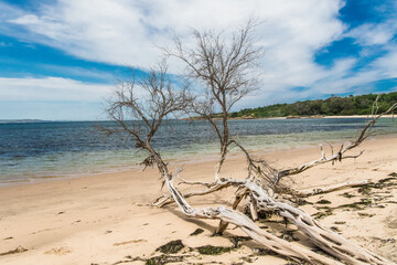 A Beach of Phillip Island on a sunny day