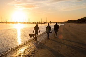 Group of friends and dog walking at the beach during sunset