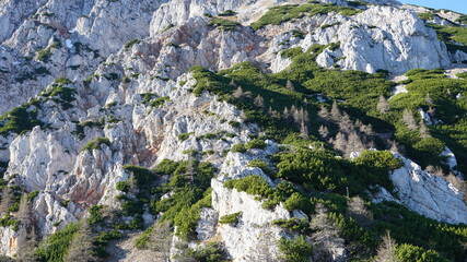 sunny mountainside in austria