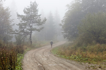 Foggy morning in mountains forest. Dirt road tourist trail in mist. Person in the fog..