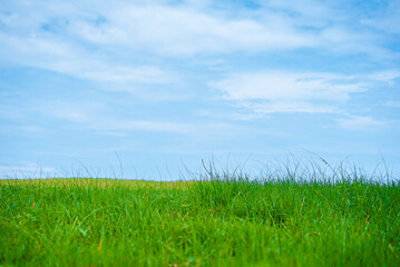 Beautiful landscape of Green field and white clouds copy space for text or design