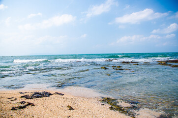 Ocean waves breaking on the rocks on the shore. - 391542943