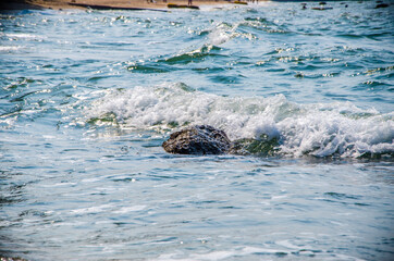 Ocean waves breaking on the rocks on the shore.