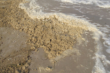 Close-up of brown spume and foam on the beach after a strong storm

