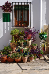 Fototapeta na wymiar Group of artfully decorated flower pots under a window of a typical Spanish house