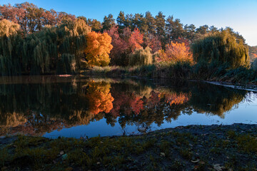 Landscape in autumn shore of the lake