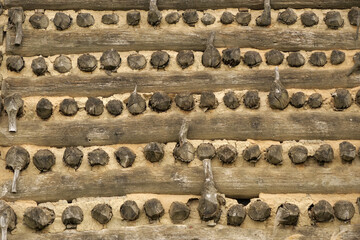 Background: close-up of a wooden wall with wood piles