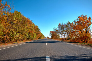 Fototapeta premium Empty autumn road, highway, with beautiful trees on the sides, against the background of a clear, blue sky, without clouds