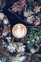 Coffee in the garden