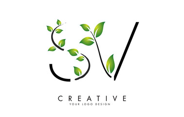 Leaf Letters SV S V Logo Design with Green Leaves on a Branch. Letters SV S V with nature concept.