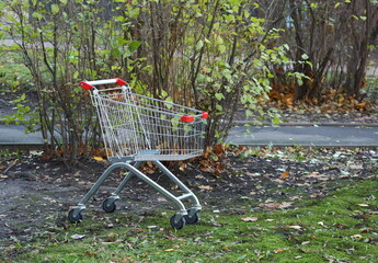 Abandoned in the grass metal trolley from the supermarket