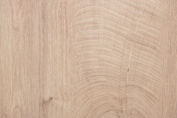texture of old wood. wooden background close up