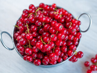 A metal basin filled with red currants