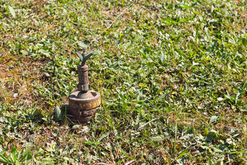 The prohibited antipersonnel mine is placed on the green grass