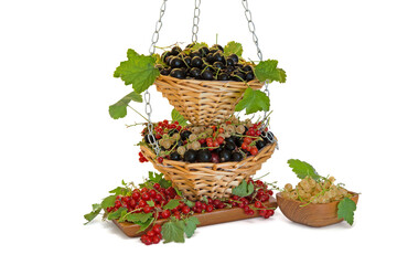 Fototapeta na wymiar Black, red and white currants in wicker baskets, plate and bowl isolated on white