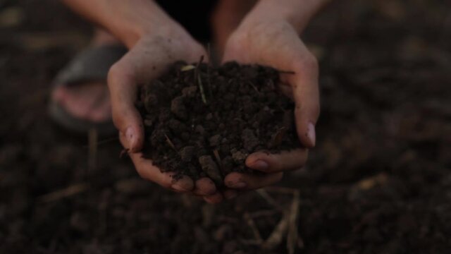 High quality soil in hand of expert farmer at organic farm.
