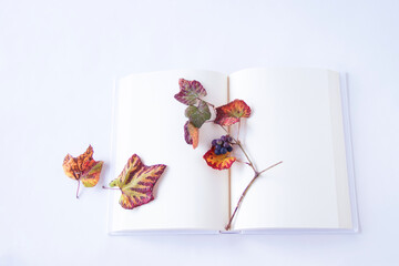 本と紅葉したノブドウのデザイン(白背景）