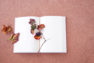 本と紅葉したノブドウのデザイン(コルクの背景）