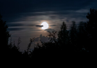 moonlit night landscape. Moon in the night sky.