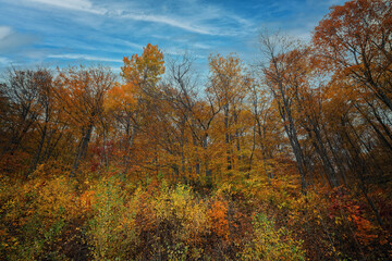 Fototapeta na wymiar Autumn colors in Vermont