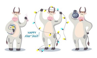 Vector illustration with the symbol of the New year 2021-a bull. Set of funny bulls.